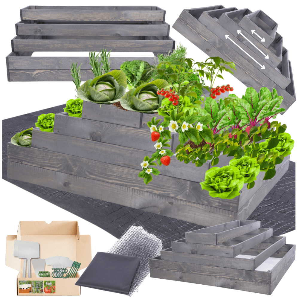 Strat inaltat de gradina - TULIP H45 - lemn de pin - Rael Garden