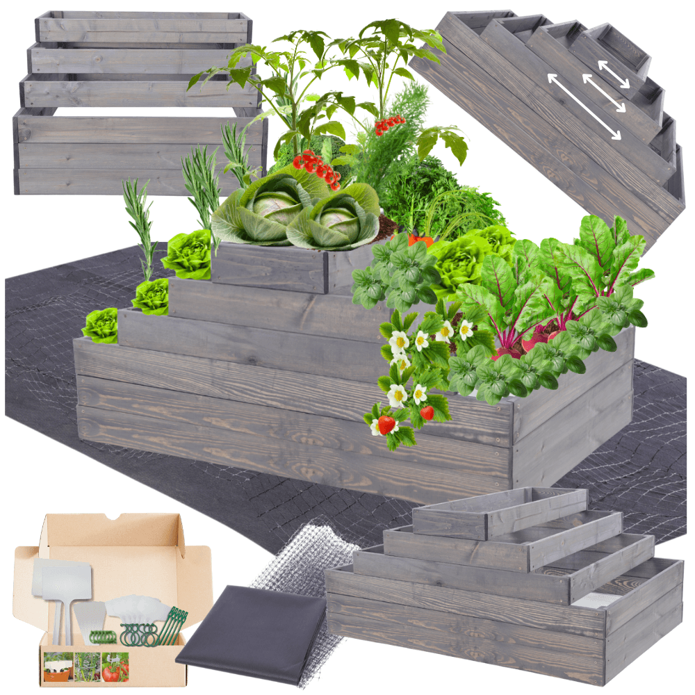 Strat inaltat de gradina - TULIP H54 - lemn de pin - Rael Garden