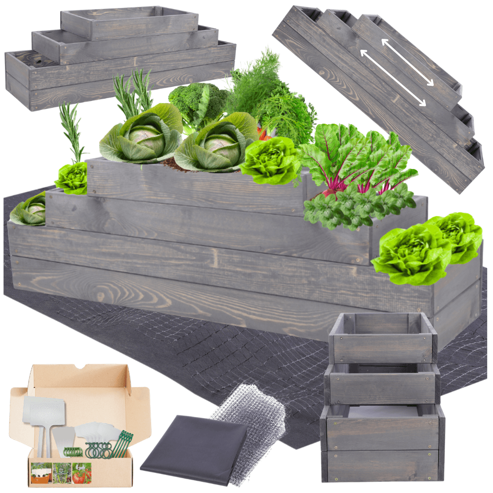 Strat inaltat de gradina - TULIP H36 - lemn de pin - Rael Garden