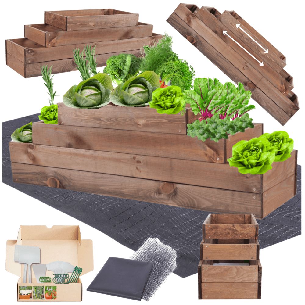 Strat inaltat de gradina - TULIP H36 - lemn de pin - Rael Garden