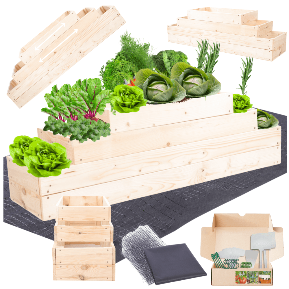 Strat inaltat de gradina - TULIP H36 - lemn de pin - Rael Garden
