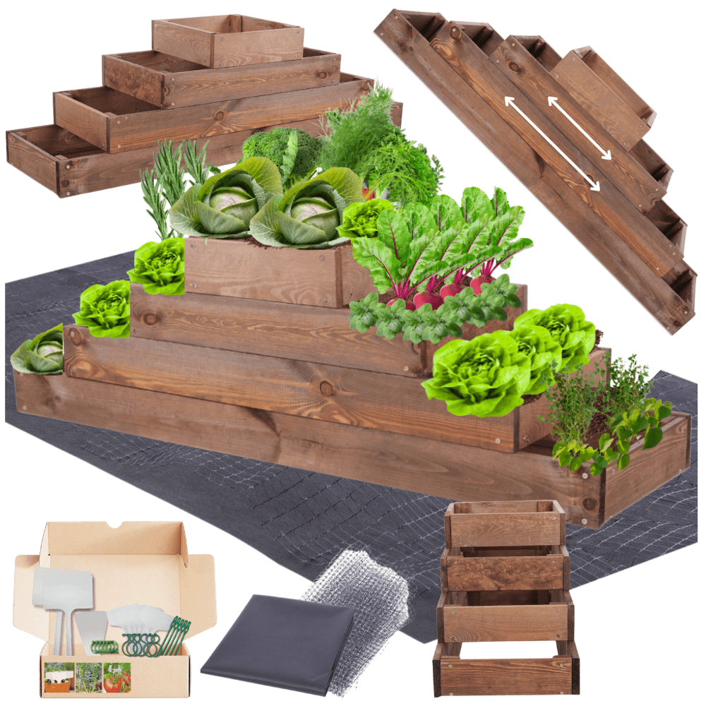 Strat inaltat de gradina - TULIP H36 - lemn de pin - Rael Garden