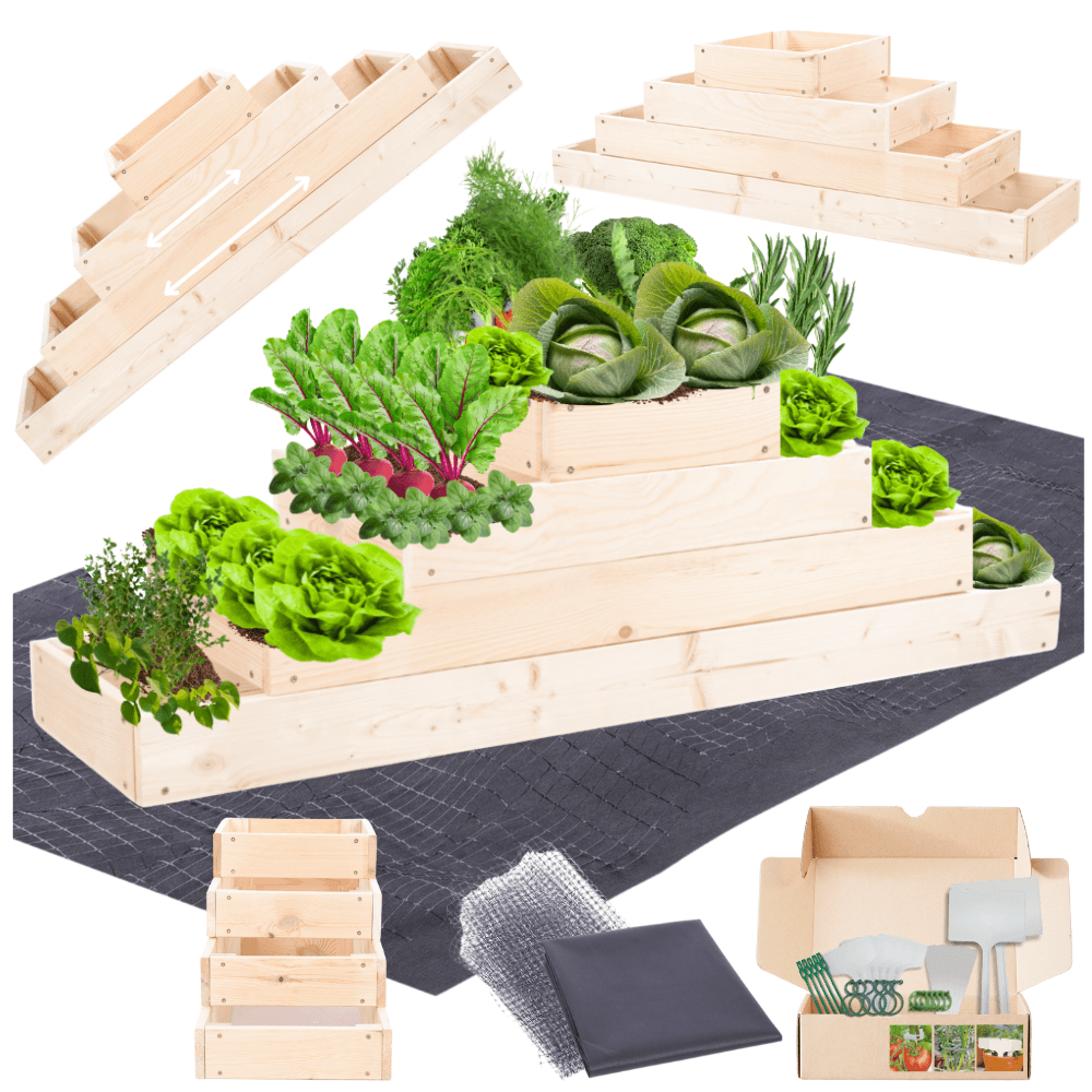 Strat inaltat de gradina - TULIP H36 - lemn de pin - Rael Garden