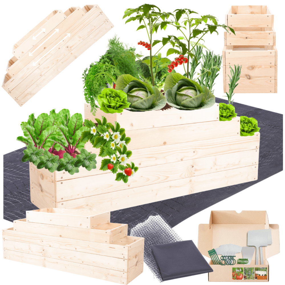 Strat inaltat de gradina - TULIP H45 - lemn de pin - Rael Garden