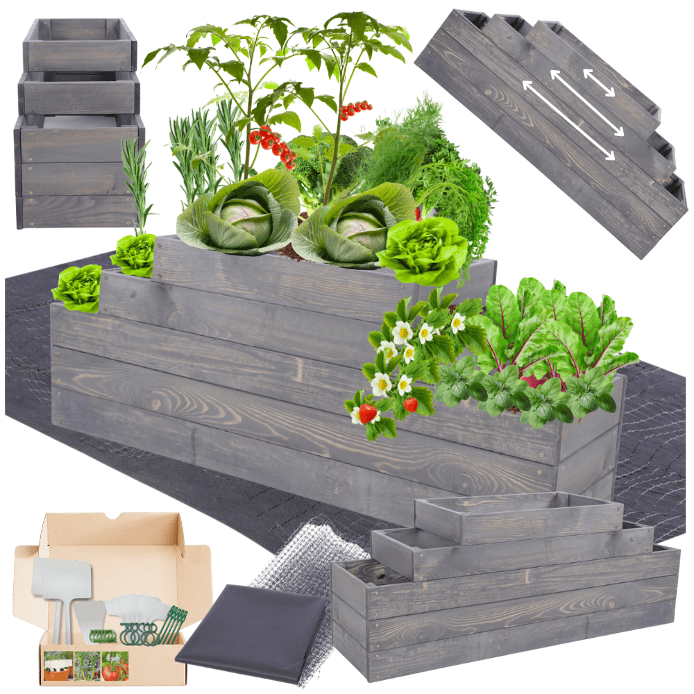 Strat inaltat de gradina - TULIP H45 - lemn de pin - Rael Garden