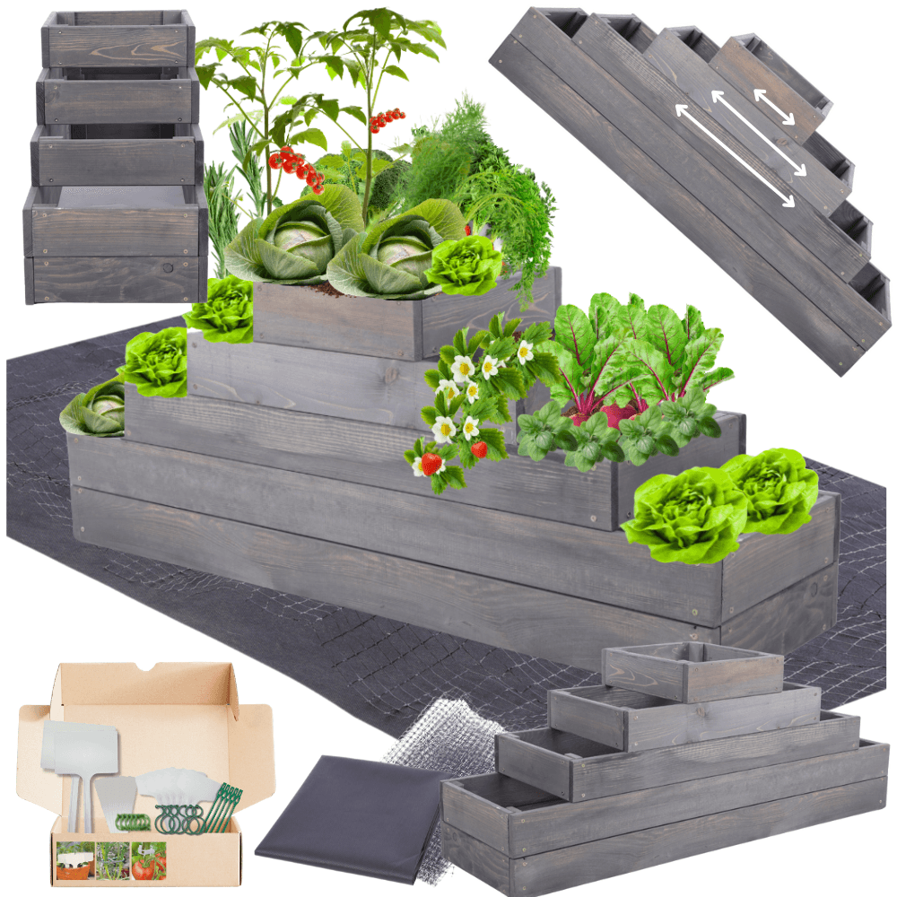 Strat inaltat de gradina - TULIP H45 - lemn de pin - Rael Garden