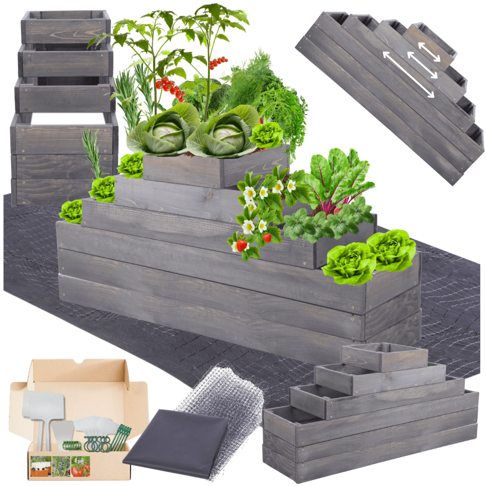 Strat inaltat de gradina - TULIP H54 - lemn de pin - Rael Garden