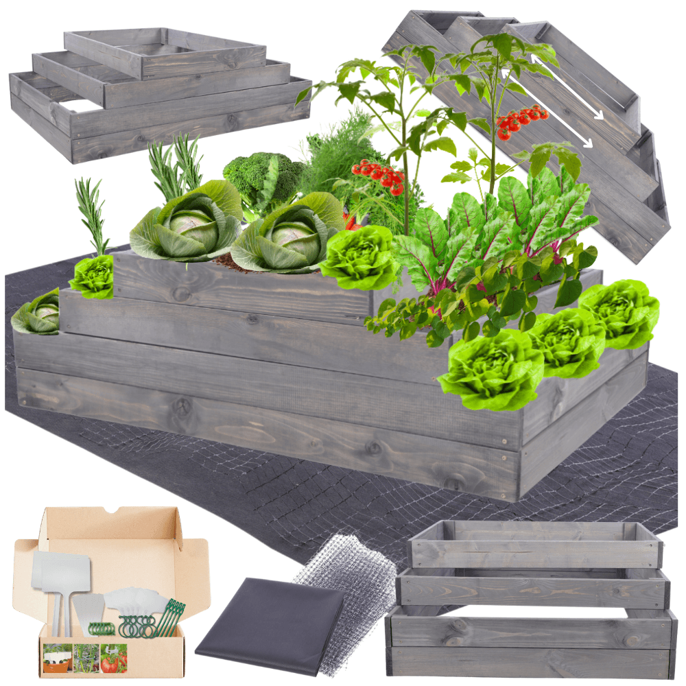 Strat inaltat de gradina - TULIP H36 - lemn de pin - Rael Garden