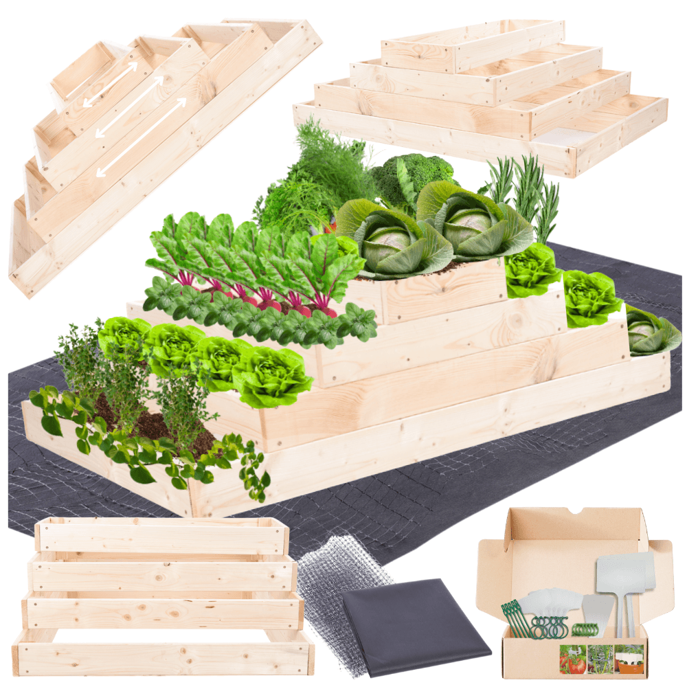Strat inaltat de gradina - TULIP H36 - lemn de pin - Rael Garden