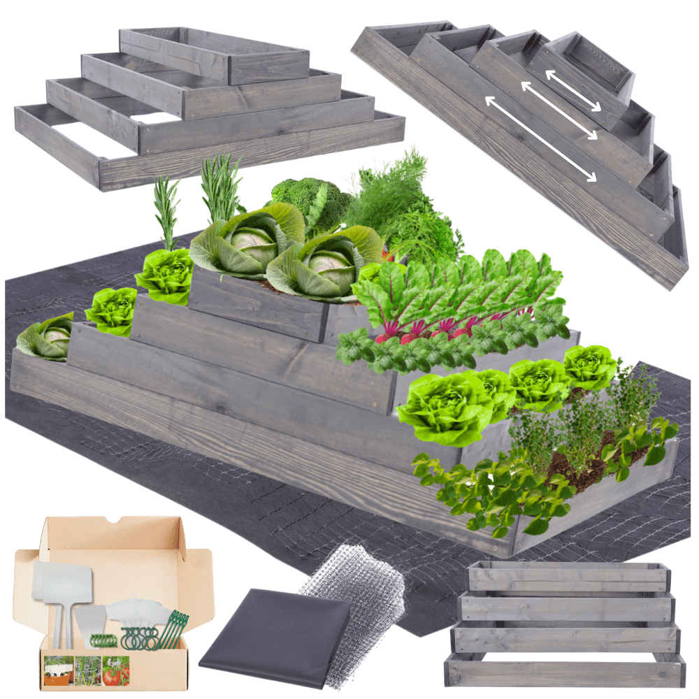 Strat inaltat de gradina - TULIP H36 - lemn de pin - Rael Garden