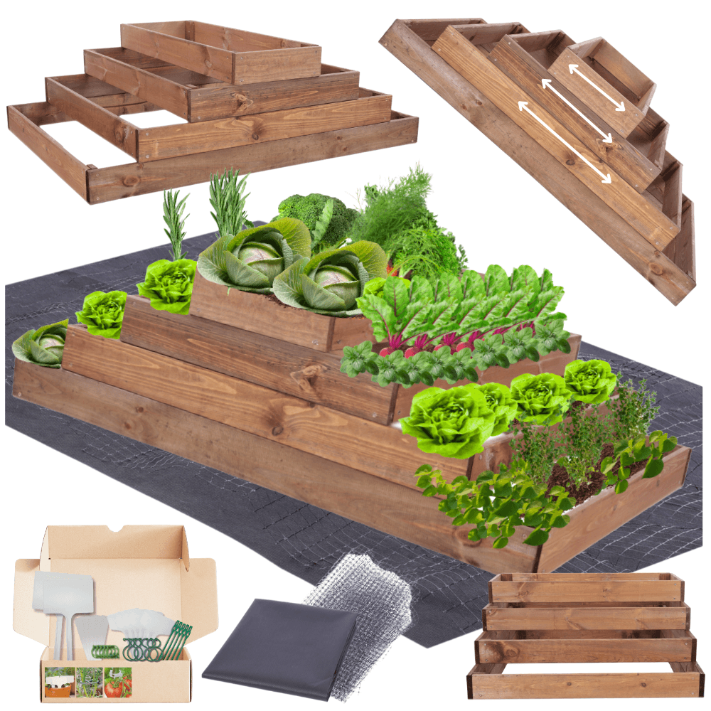 Strat inaltat de gradina - TULIP H36 - lemn de pin - Rael Garden