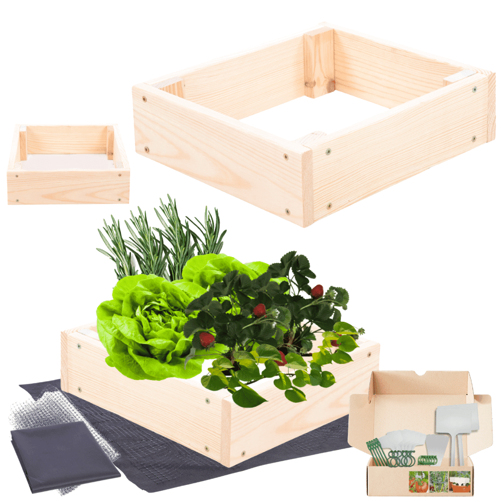 Strat inaltat de gradina - TULIP H9 - lemn de pin - Rael Garden