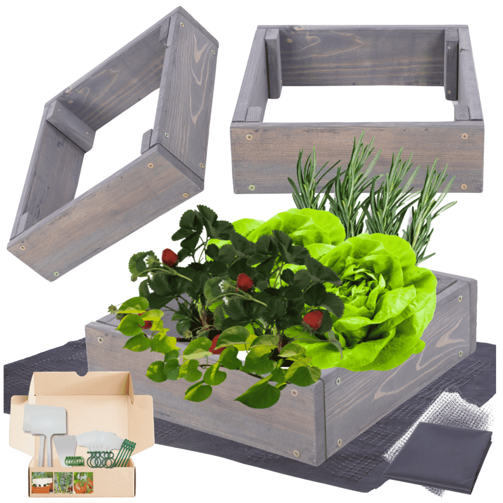 Strat inaltat de gradina - TULIP H9 - lemn de pin - Rael Garden