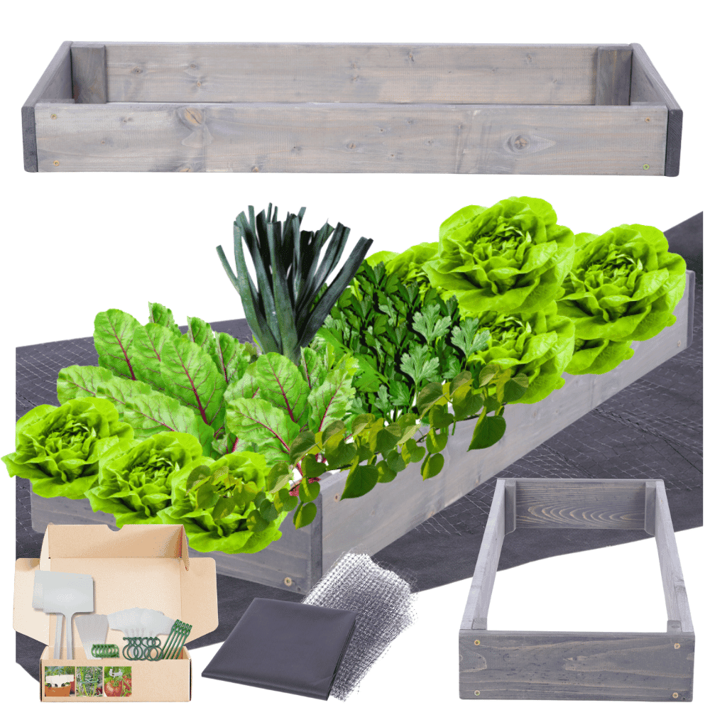 Strat inaltat de gradina - TULIP H9 - lemn de pin - Rael Garden