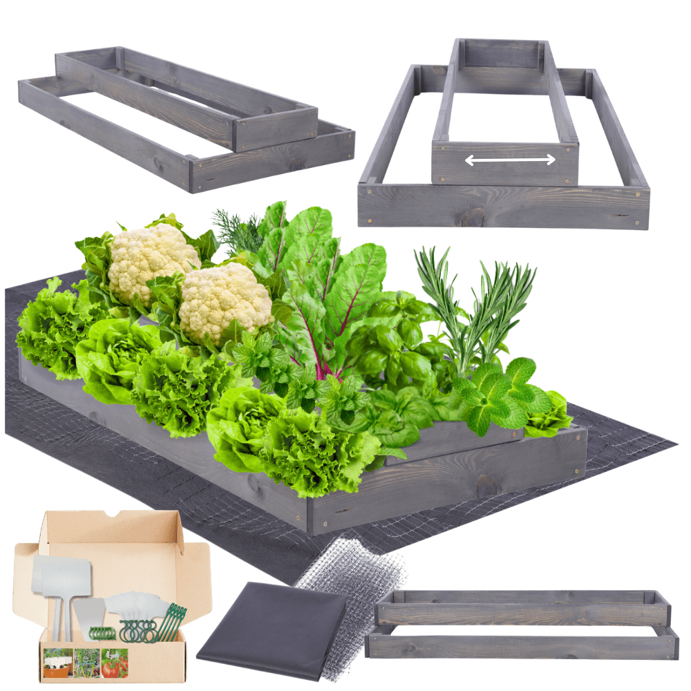 Strat inaltat de gradina - TULIP H18 - lemn de pin - Rael Garden