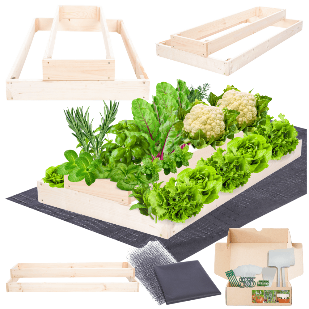 Strat inaltat de gradina - TULIP H18 - lemn de pin - Rael Garden