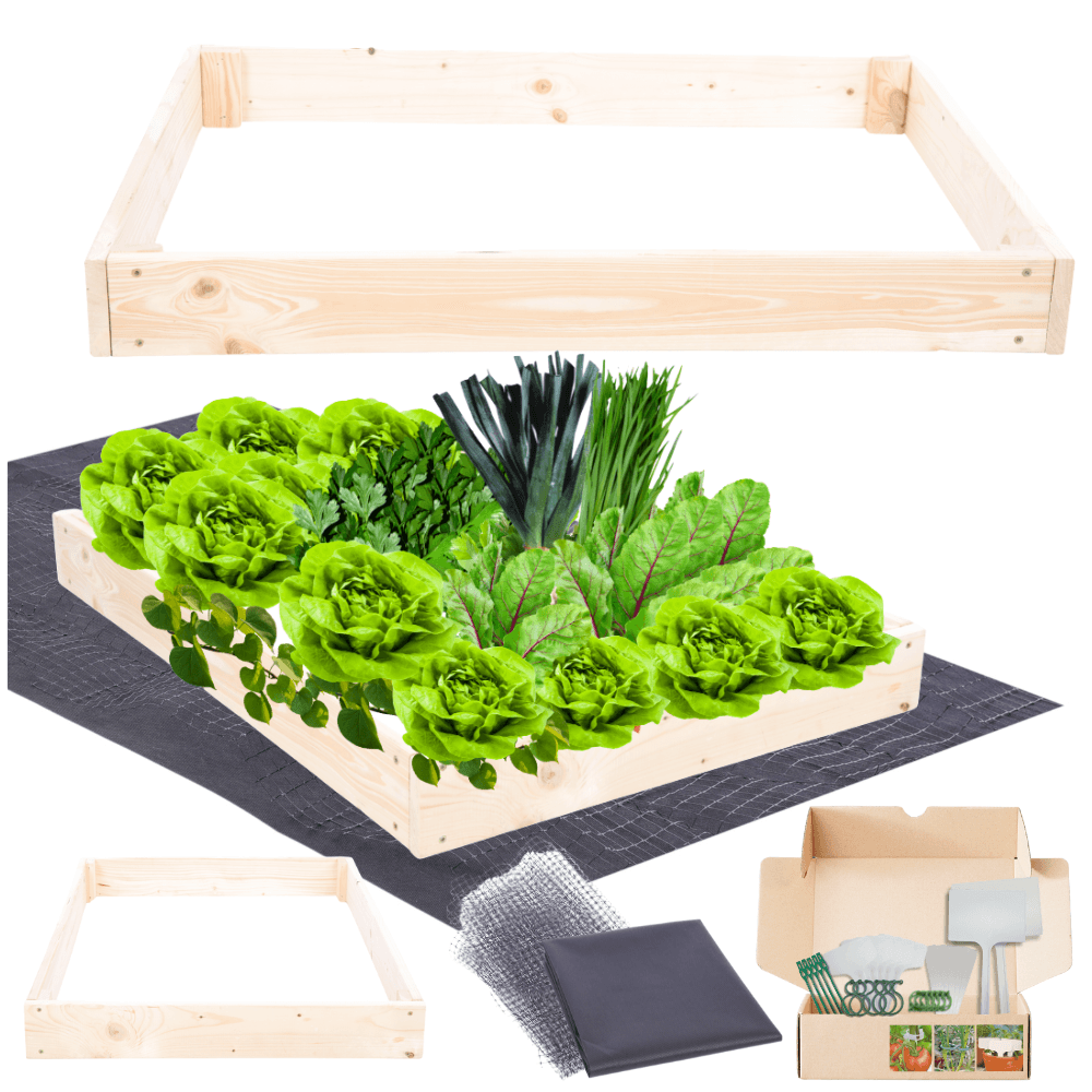 Strat inaltat de gradina - TULIP H9 - lemn de pin - Rael Garden