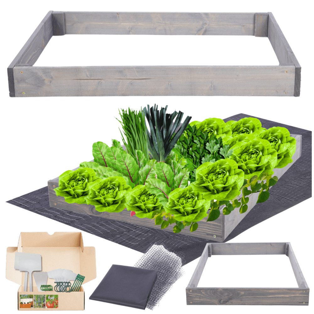 Strat inaltat de gradina - TULIP H9 - lemn de pin - Rael Garden