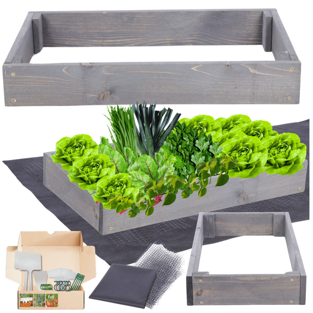 Strat inaltat de gradina - TULIP H9 - lemn de pin - Rael Garden