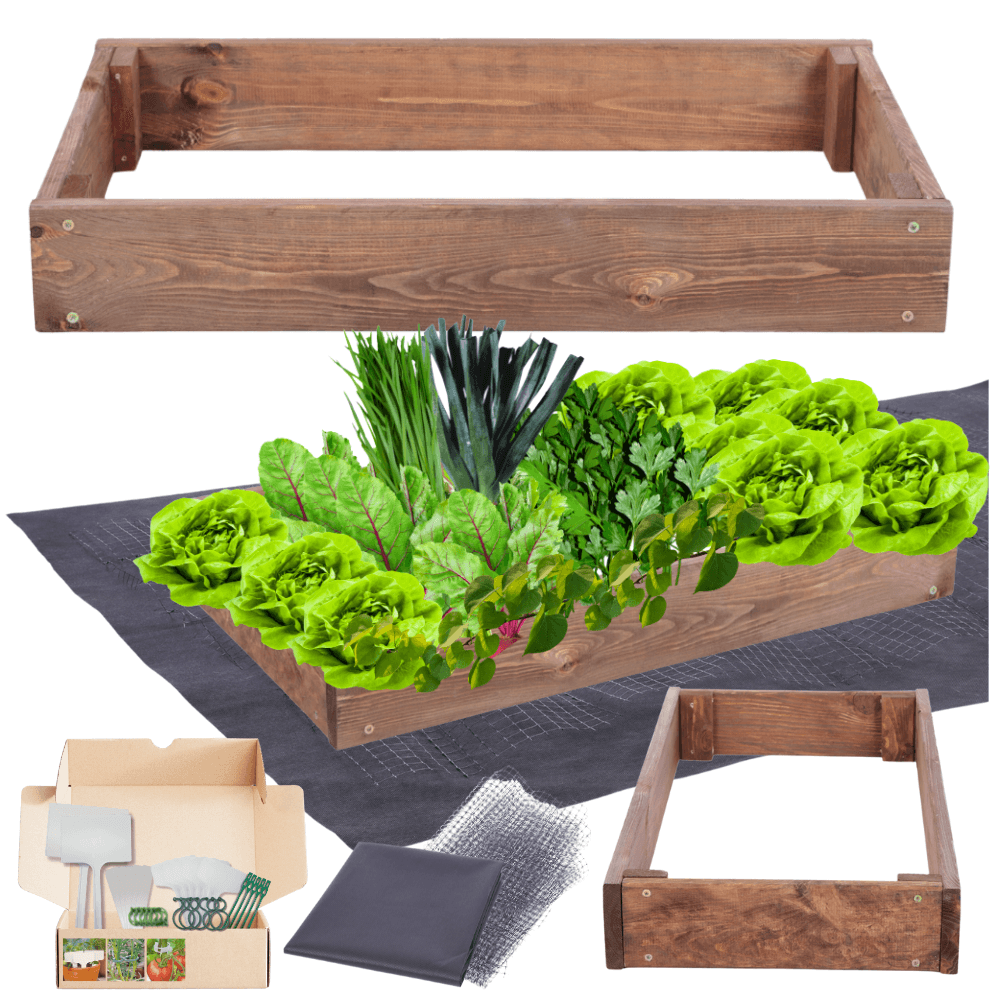 Strat inaltat de gradina - TULIP H9 - lemn de pin - Rael Garden