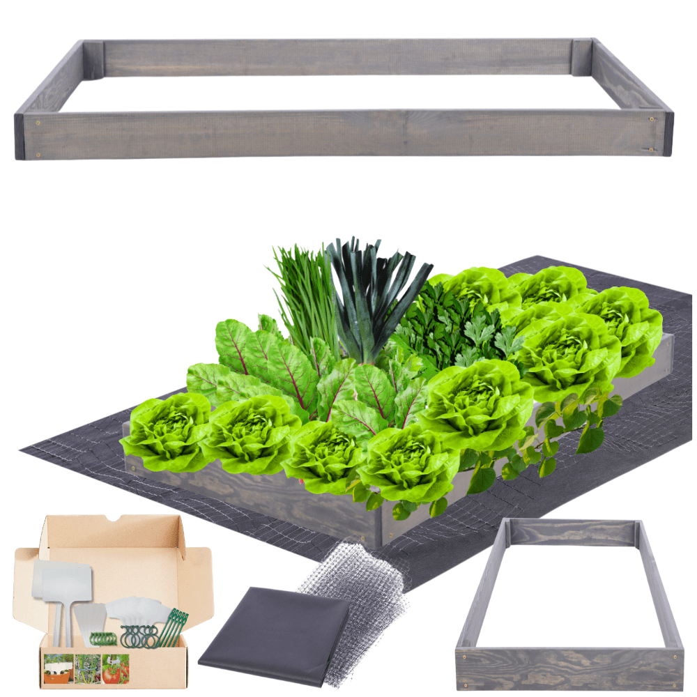 Strat inaltat de gradina - TULIP H9 - lemn de pin - Rael Garden