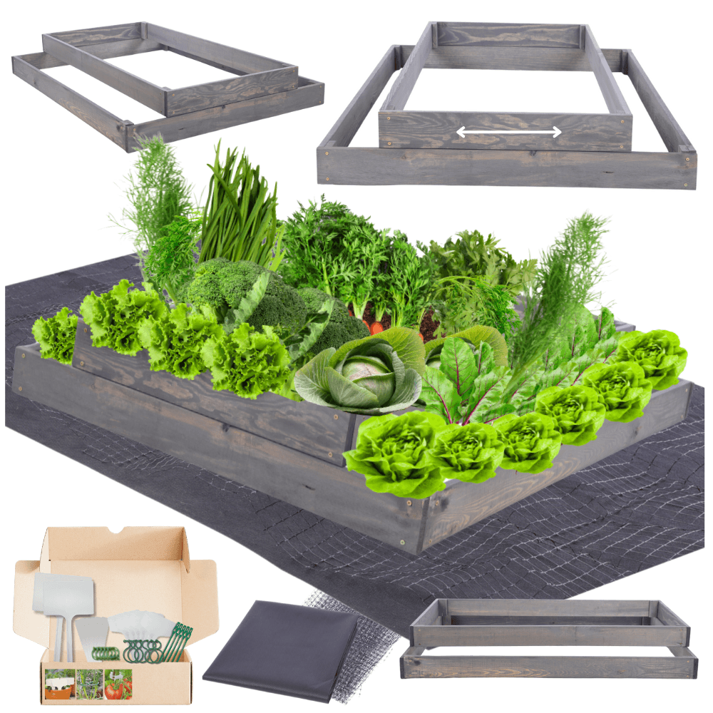 Strat inaltat de gradina - TULIP H18 - lemn de pin - Rael Garden