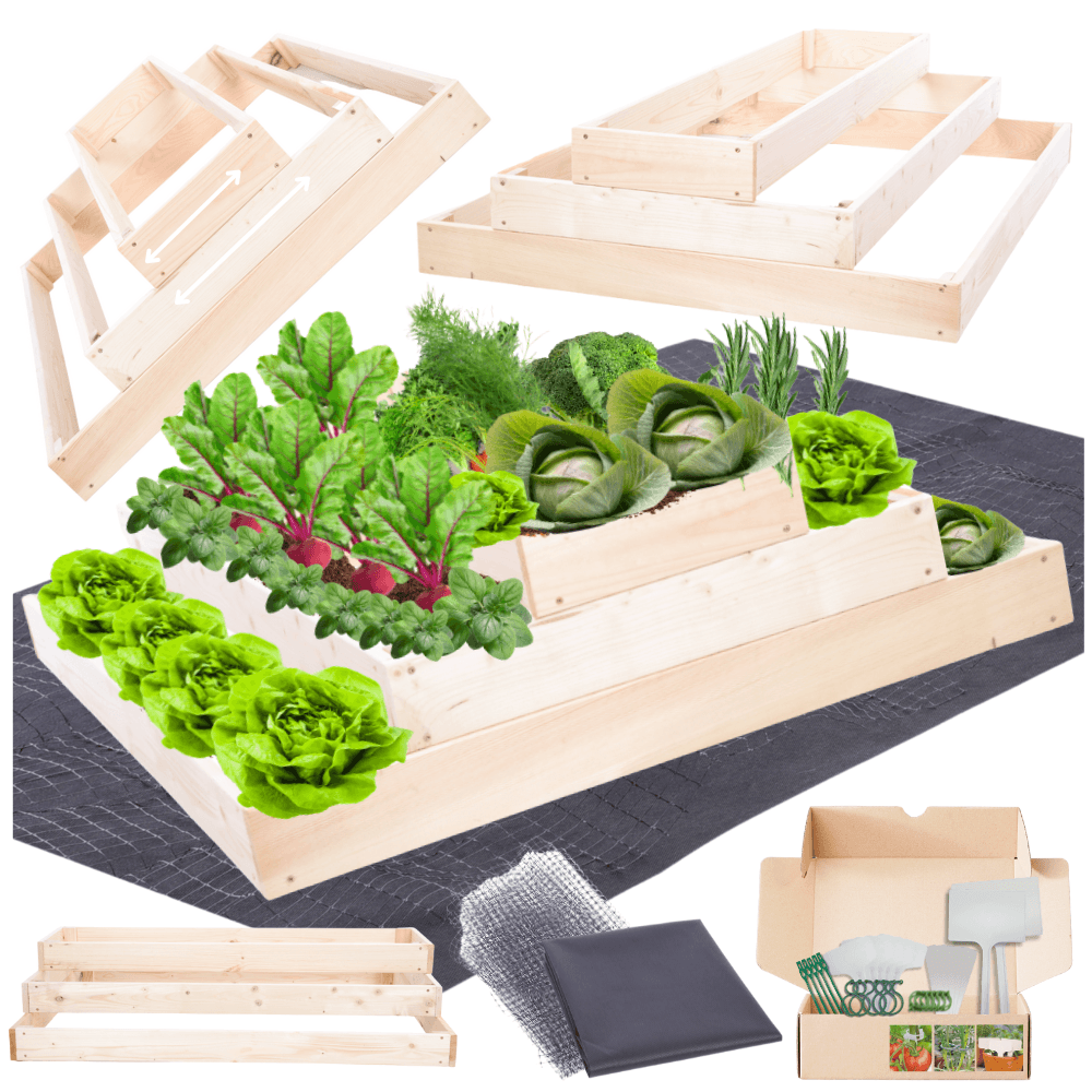 Strat inaltat de gradina - TULIP H27 - lemn de pin - Rael Garden