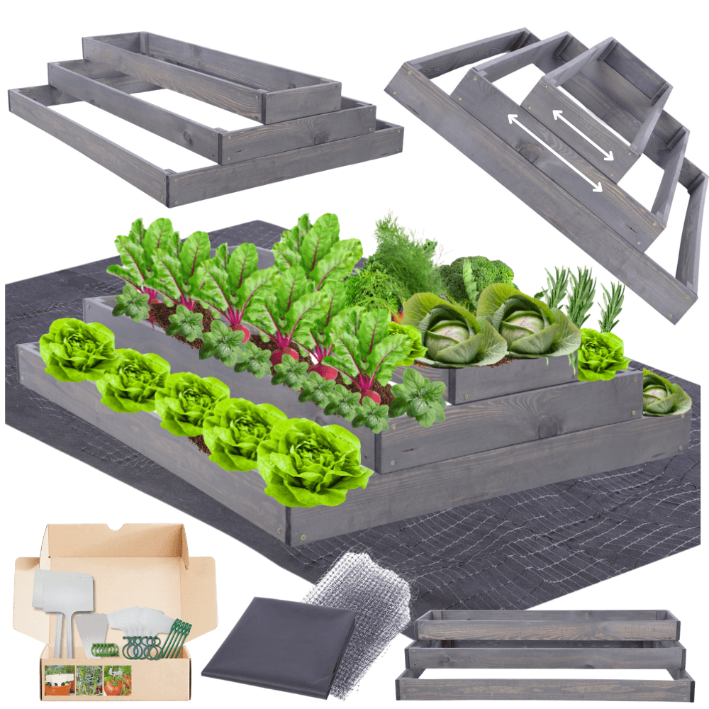 Strat inaltat de gradina - TULIP H27 - lemn de pin - Rael Garden