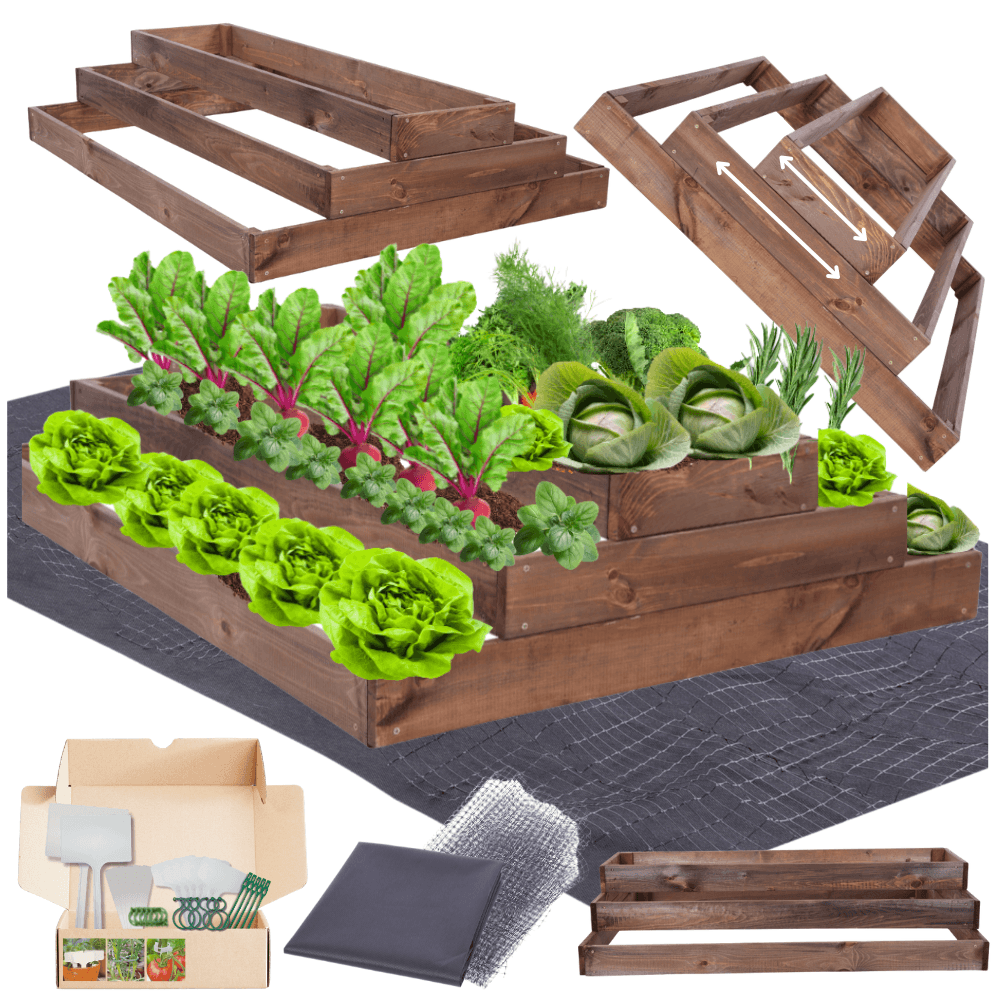 Strat inaltat de gradina - TULIP H27 - lemn de pin - Rael Garden