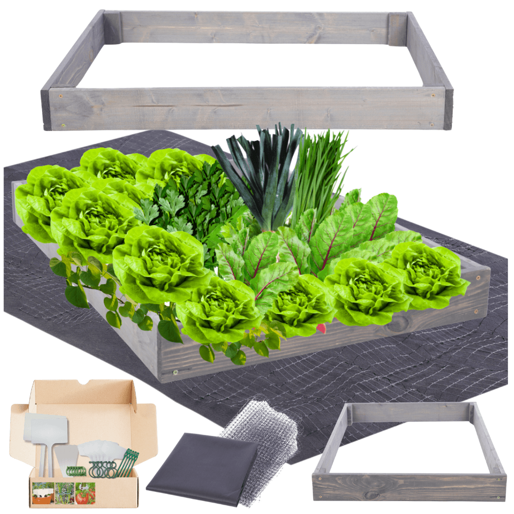 Strat inaltat de gradina - TULIP H9 - lemn de pin - Rael Garden