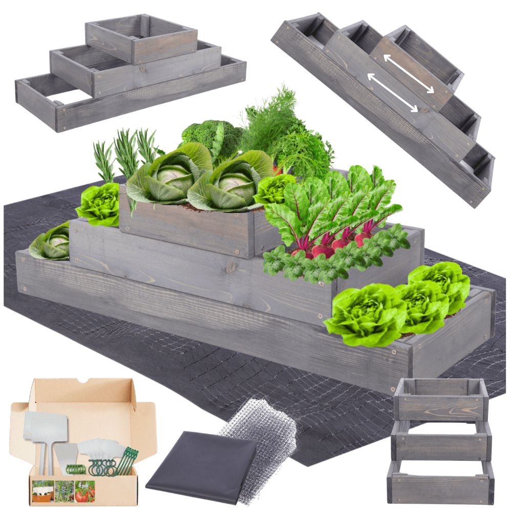 Strat inaltat de gradina - TULIP H27 - lemn de pin - Rael Garden