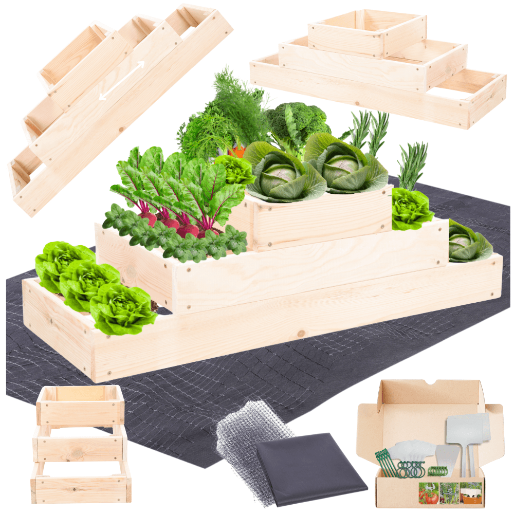 Strat inaltat de gradina - TULIP H27 - lemn de pin - Rael Garden