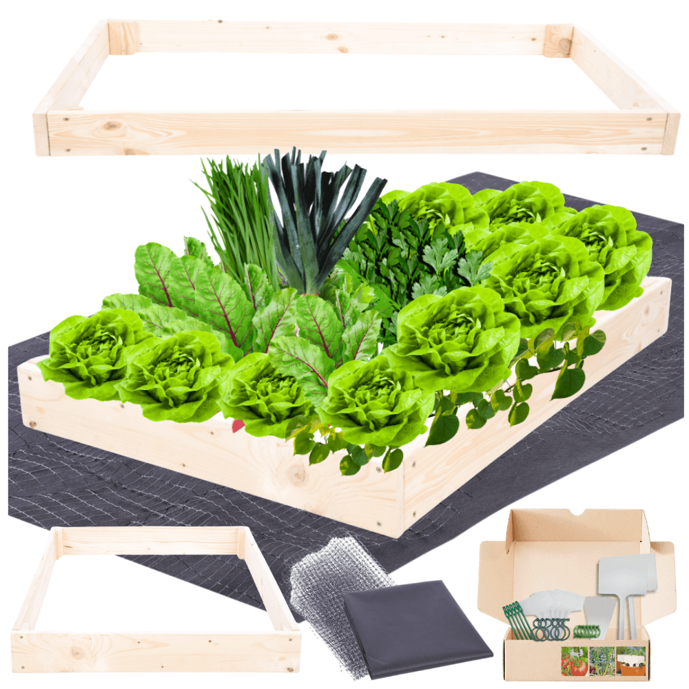 Strat inaltat de gradina - TULIP H9 - lemn de pin - Rael Garden