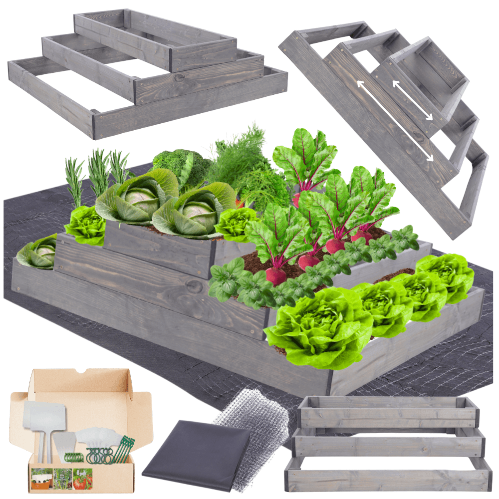 Strat inaltat de gradina - TULIP H27 - lemn de pin - Rael Garden