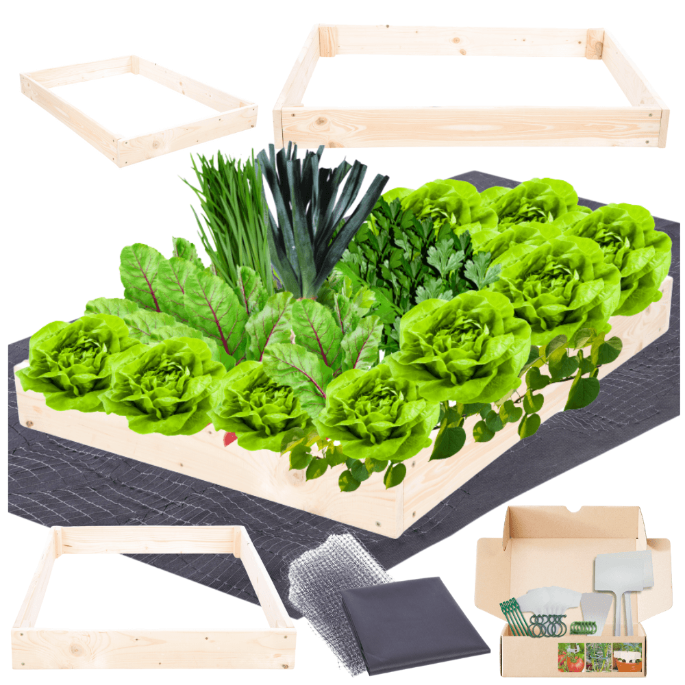 Strat inaltat de gradina - TULIP H9 - lemn de pin - Rael Garden