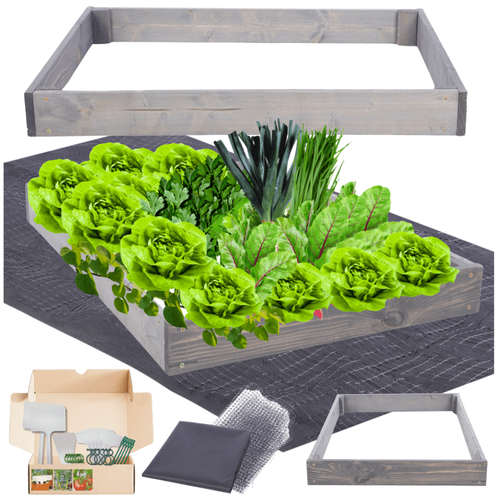 Strat inaltat de gradina - TULIP H9 - lemn de pin - Rael Garden