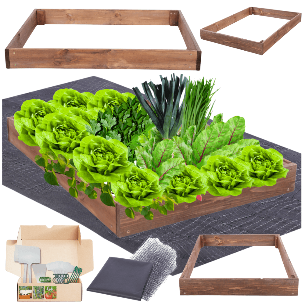 Strat inaltat de gradina - TULIP H9 - lemn de pin - Rael Garden