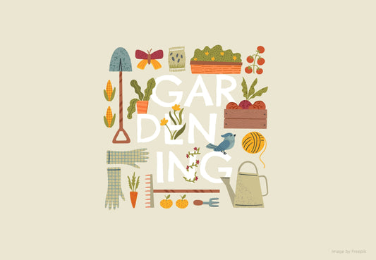 Planificarea grădinii - Rael Garden