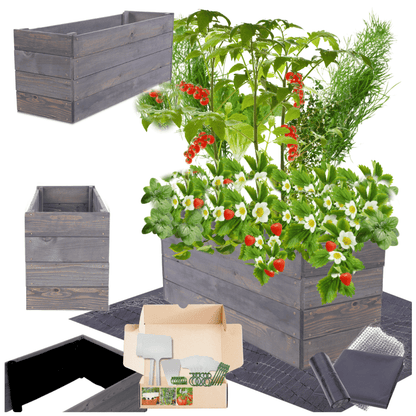 Strat inaltat de gradina - LOTUS H36 - lemn de pin - Rael Garden