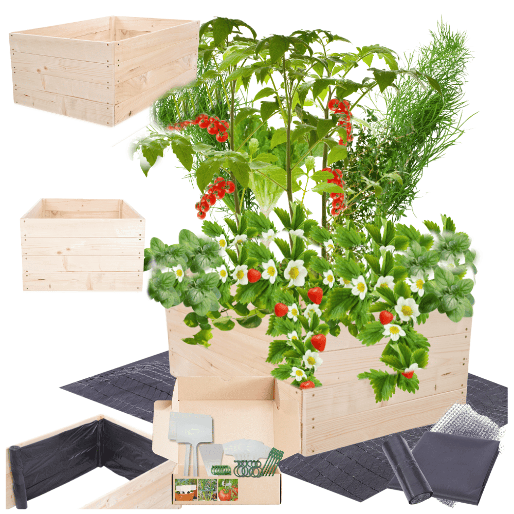 Strat inaltat de gradina - LOTUS H36 - lemn de pin - Rael Garden