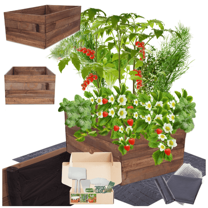 Strat inaltat de gradina - LOTUS H36 - lemn de pin - Rael Garden