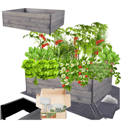 Strat inaltat de gradina - LOTUS H36 - lemn de pin - Rael Garden