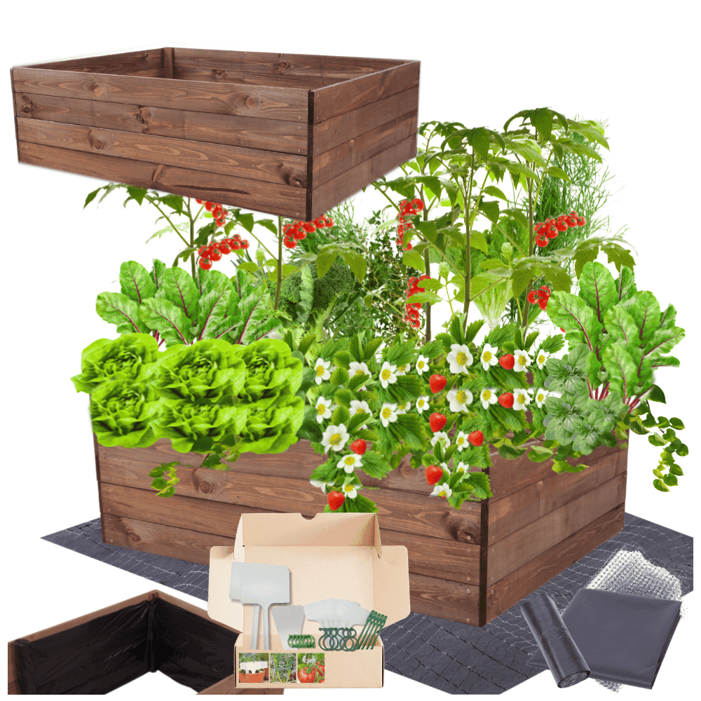 Strat inaltat de gradina - LOTUS H36 - lemn de pin - Rael Garden