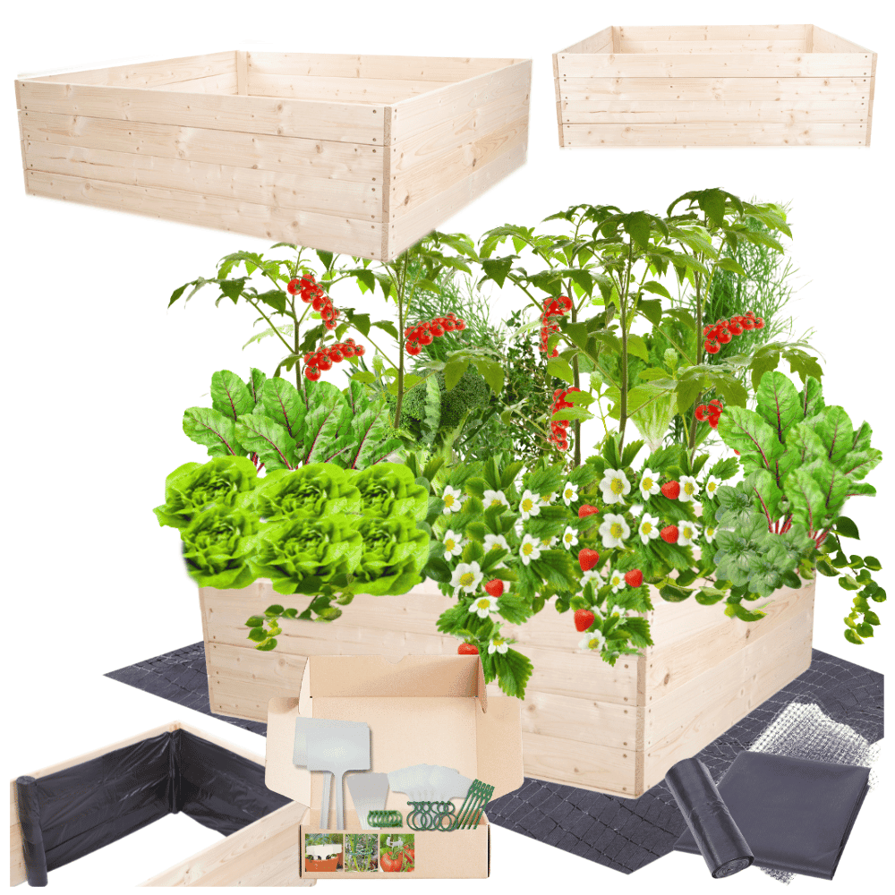 Strat inaltat de gradina - LOTUS H36 - lemn de pin - Rael Garden