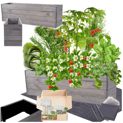 Strat inaltat de gradina - LOTUS H36 - lemn de pin - Rael Garden