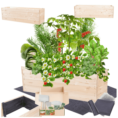 Strat inaltat de gradina - LOTUS H36 - lemn de pin - Rael Garden