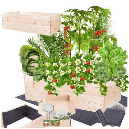 Strat inaltat de gradina - LOTUS H36 - lemn de pin - Rael Garden