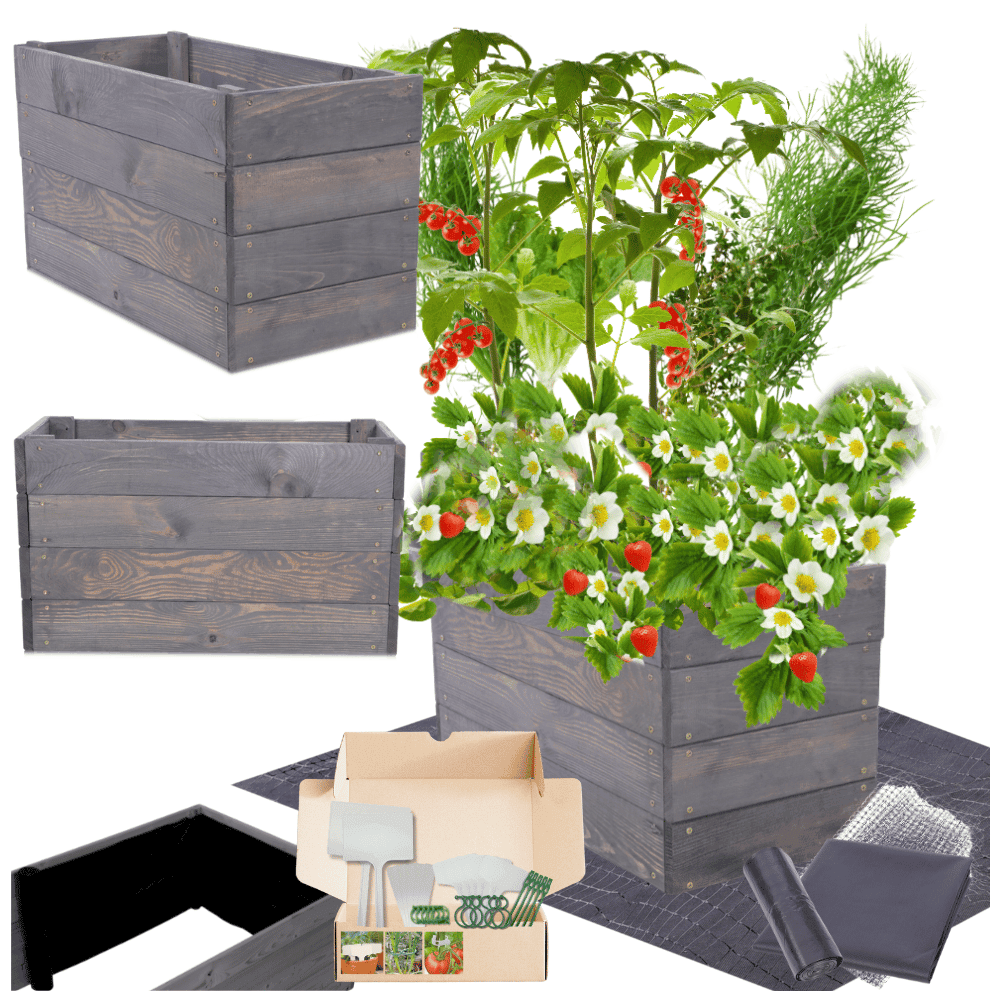 Strat inaltat de gradina - LOTUS H36 - lemn de pin - Rael Garden