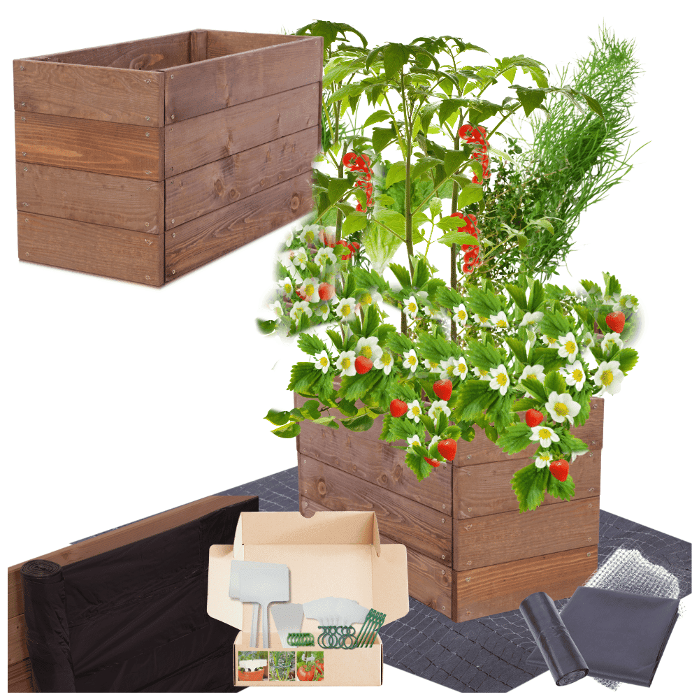 Strat inaltat de gradina - LOTUS H36 - lemn de pin - Rael Garden