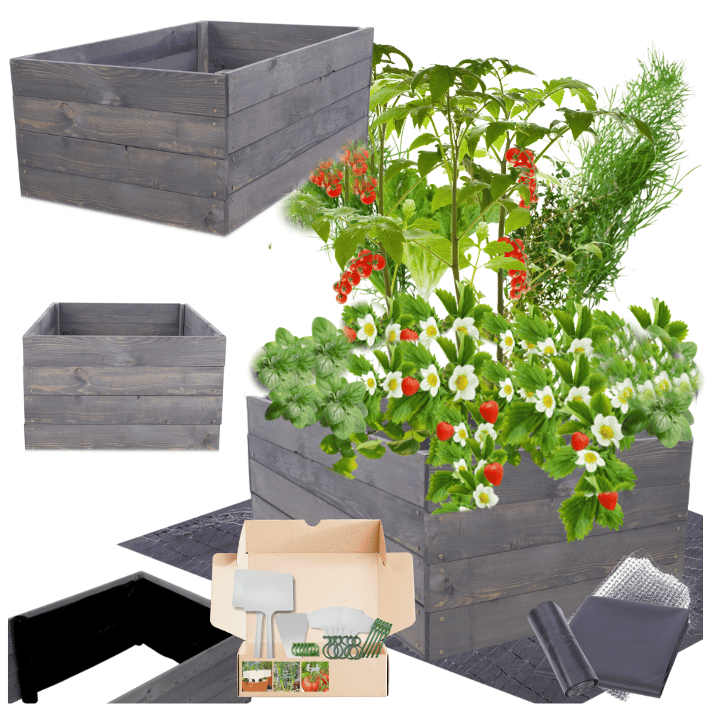 Strat inaltat de gradina - LOTUS H36 - lemn de pin - Rael Garden